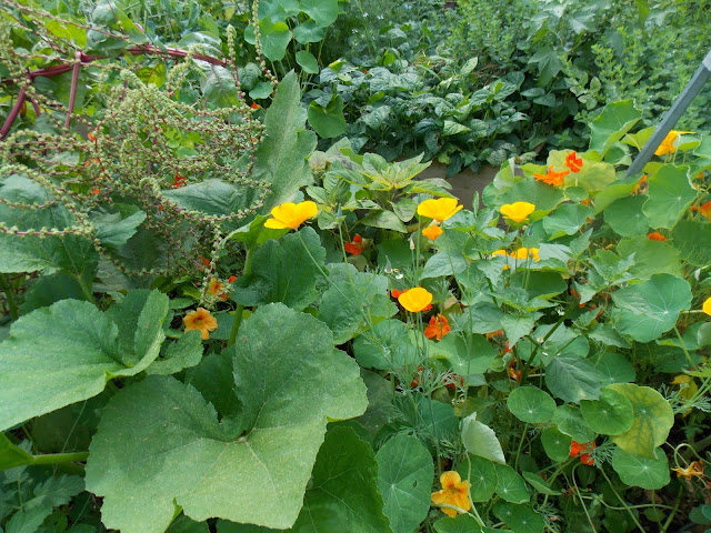 Les légumes aiment s'associer