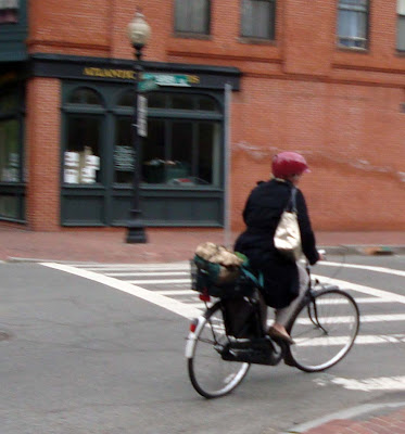 shopping bags on a bike