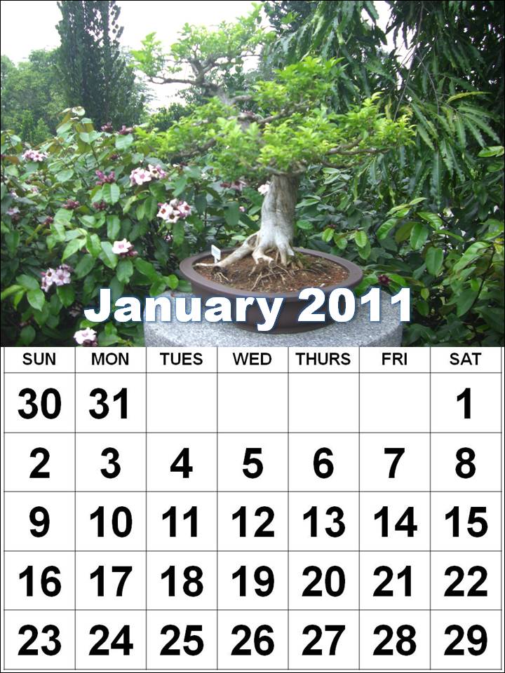 january 2011 calendar wallpaper. Page calendar a page Printout