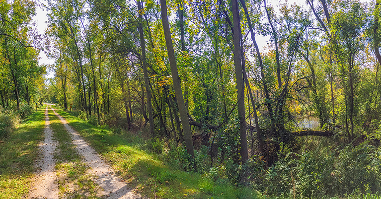 Ahnapee State Trail