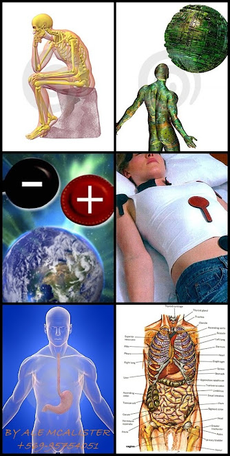 BIOMAGNETISM IN CHILE
