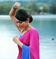 Tamanna, dance, steps, in, saree, stills