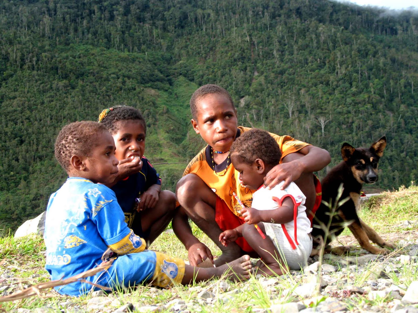 20 Gambar Lucu Anak Anak Papua Ktawacom Ayo Ketawa