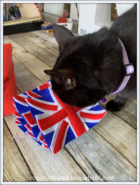 The BBHQ Mid-Week News Round-Up ©BionicBasil® Parsley Inspecting The Flags