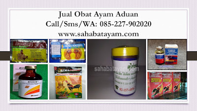 Obat Ayam Jago Cacingan, Obat Ayam Jago Gak Mau Makan, Obat Ayam Jago Habis Diadu, Obat Ayam Jago Juara, Obat Ayam Jago Kena Jalu