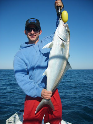 amberjack