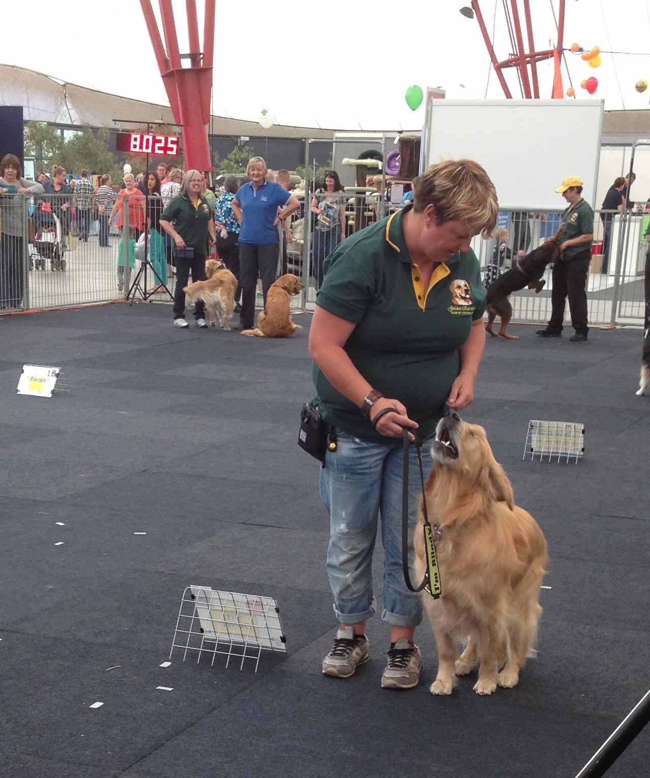 my dog: a blind dog does obedience performance