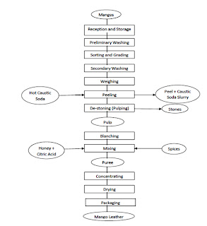 Mango leather production process