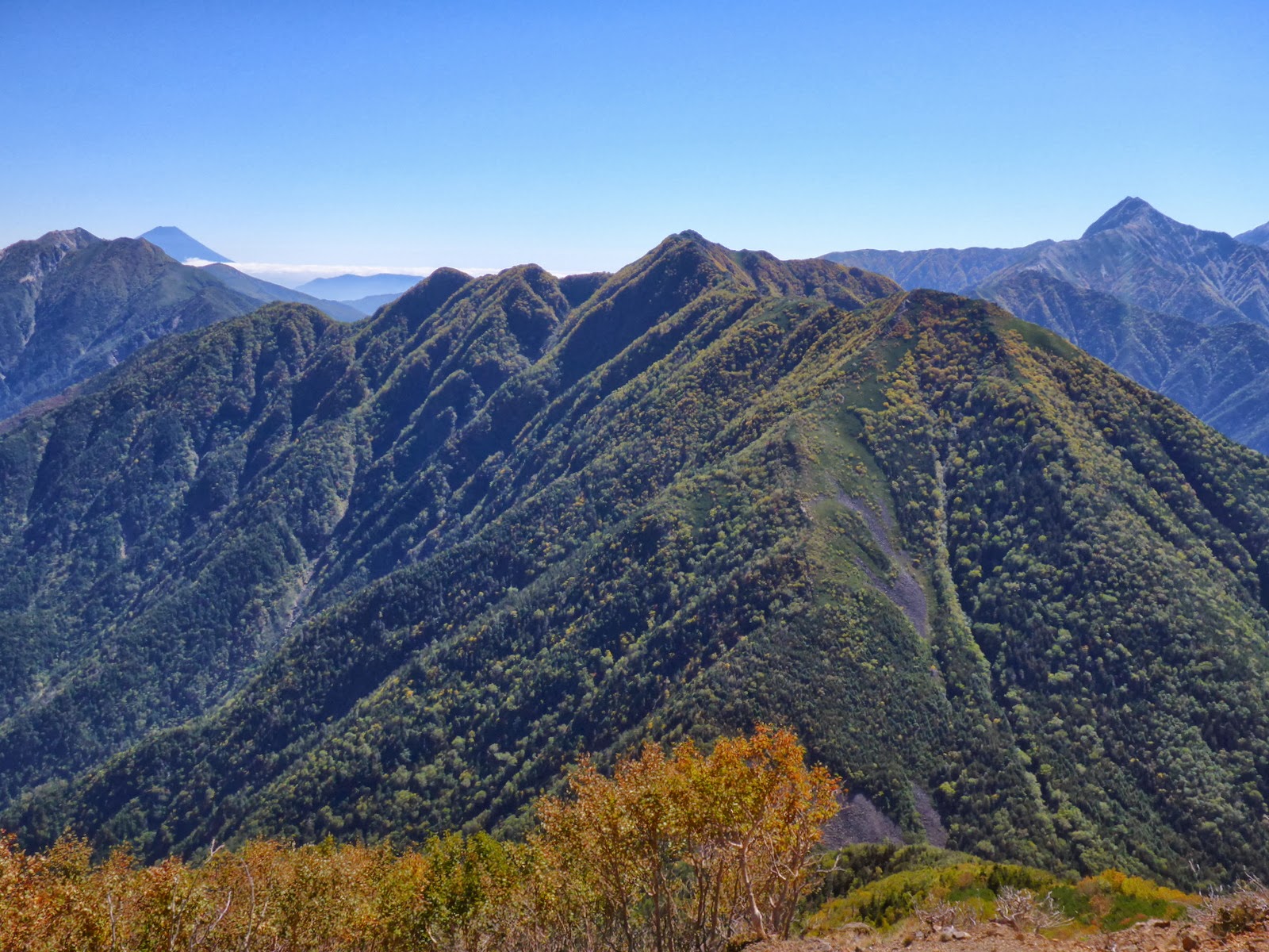 山と兎 紅葉が始まりつつある甲斐駒ヶ岳