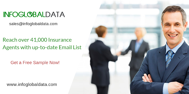 Insurance Agent Database