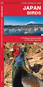 Japan Birds: A Folding Pocket Guide to Familiar Species (Wildlife and Nature Identification)