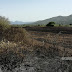 Φωτιά στο Ζερβοχώρι Παραμυθιάς, έκαψε 40 στρέμματα γεωργικών εκτάσεων 