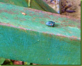 P1040572