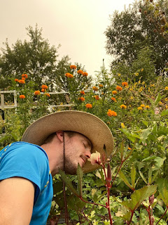 Farmer with Okra