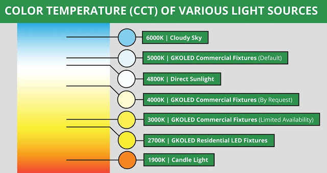 LED Flood Lights
