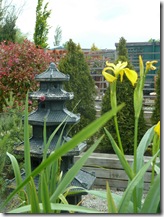 paddock farm 049