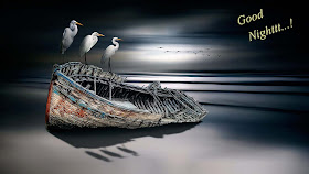 Crane-storke-birds-on-the-boat-at-night-HDcollection