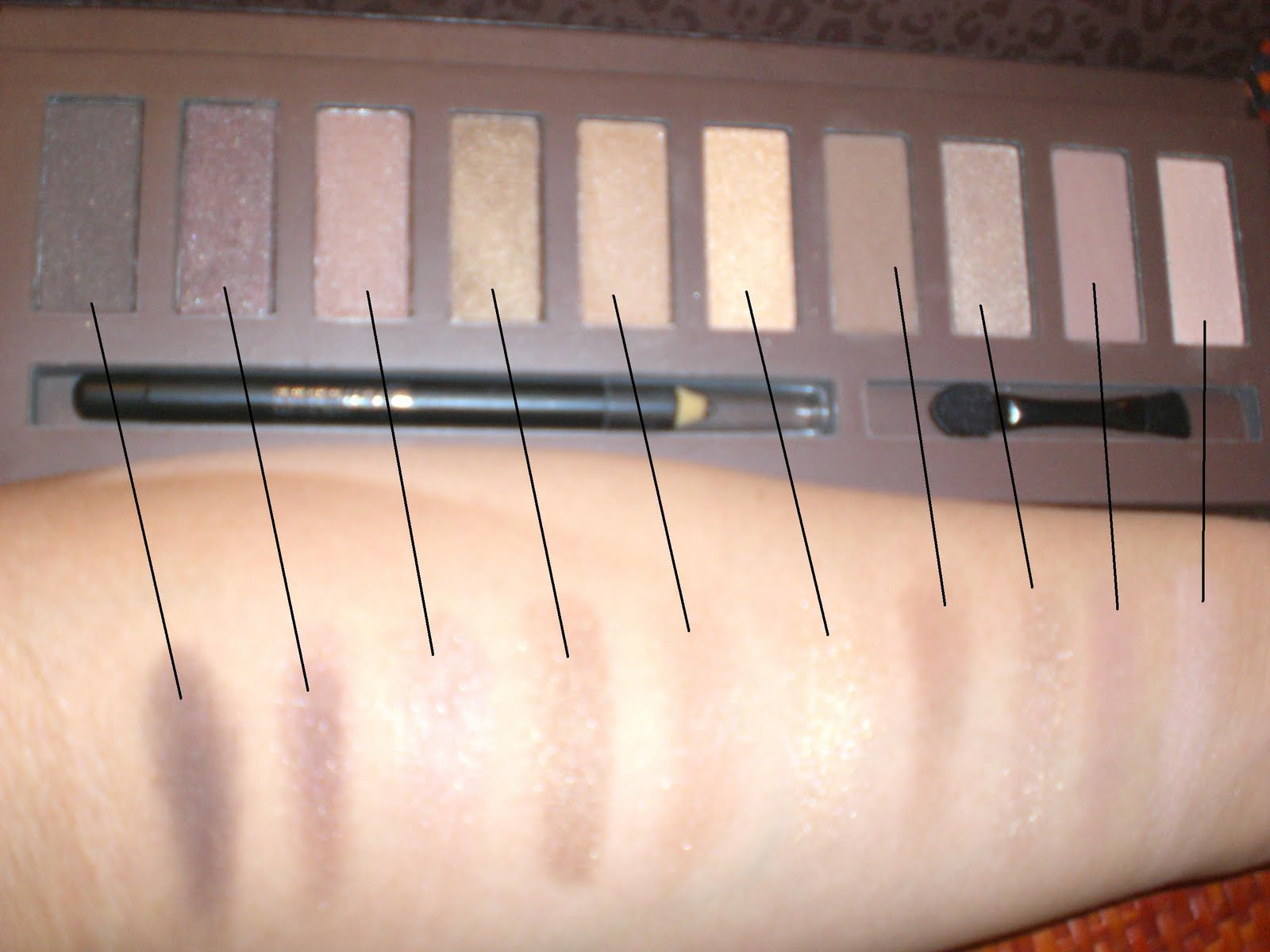 Swatches of Natural Palette:
