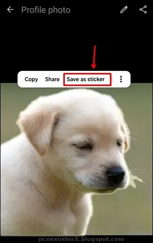 create sticker from any image in Samsung Gallery app
