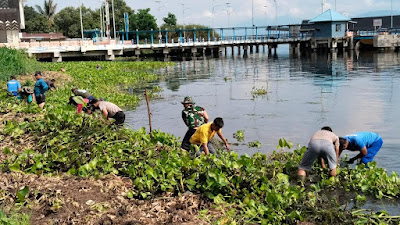 Lagi, Polisi Bahu Membahu Bersihkan Eceng Gondok di Pantai Danau Toba Polres Samosir