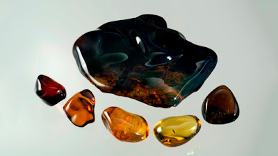 Pictures: Types of Amber 