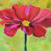 Cosmos, Contemporary Floral Paintings by Arizona Artist Amy Whitehouse