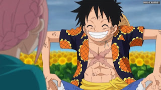 ワンピースアニメ ドレスローザ編 696話 ルフィ 笑顔 Monkey D. Luffy | ONE PIECE Episode 696