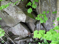 Porcupine Brook in Kinsman Notch