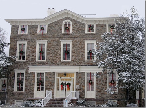 Snow 38a