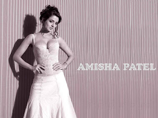 Amisha Patel hot wallpapers