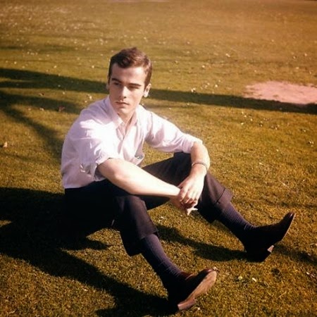 dean stockwell 046