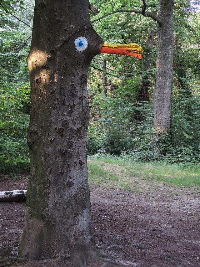 Antwerpen:  babbelende bomen in Boekenbergpark