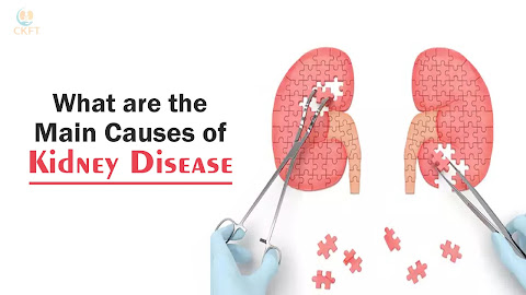 What are the Main Causes of Kidney Disease