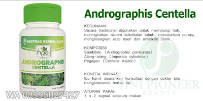 Andrographis Centella, Hepato-protector,- HNI Pioneer, COD JAKARTA,WA 08995027427, produk hni,produk hpai,produk hni hpai,hni.hpai,hni hpai,Sambiloto,Pegagan,Alang-alang