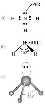 Struktur Lewis NH3 Bentuk molekul NH3 (trigonal piramidal)