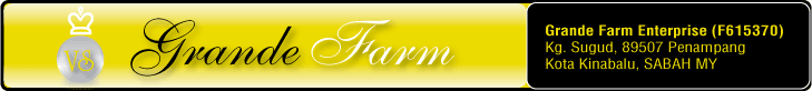 Grande Farm - Fresh Oyster Mushrooms