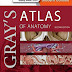 Gray's Atlas of Anatomy 2nd 