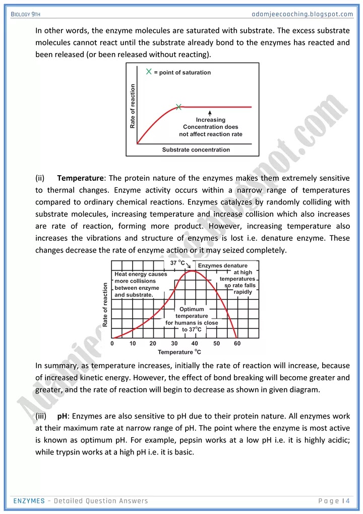 enzymes-detailed-question-answers-biology-9th