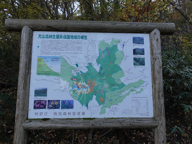 大山　桝水別れ　横手道