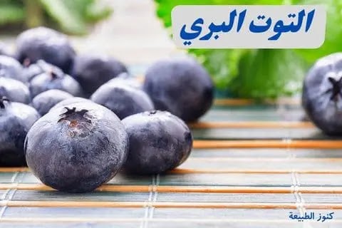 فوائد صحية لا تصدق عن التوت البري
