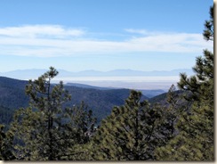 P2050294