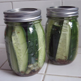 refrigerator garlic dill pickles