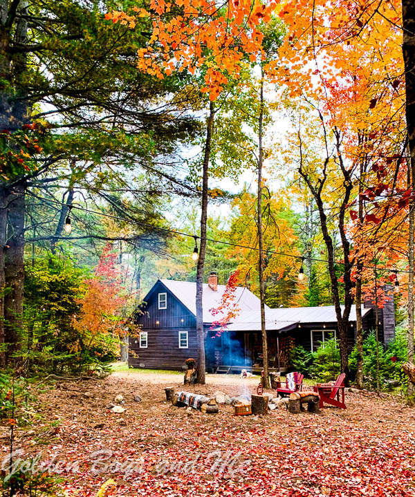 Fall foliage at cabin in the woods - www.goldenboysandme.com
