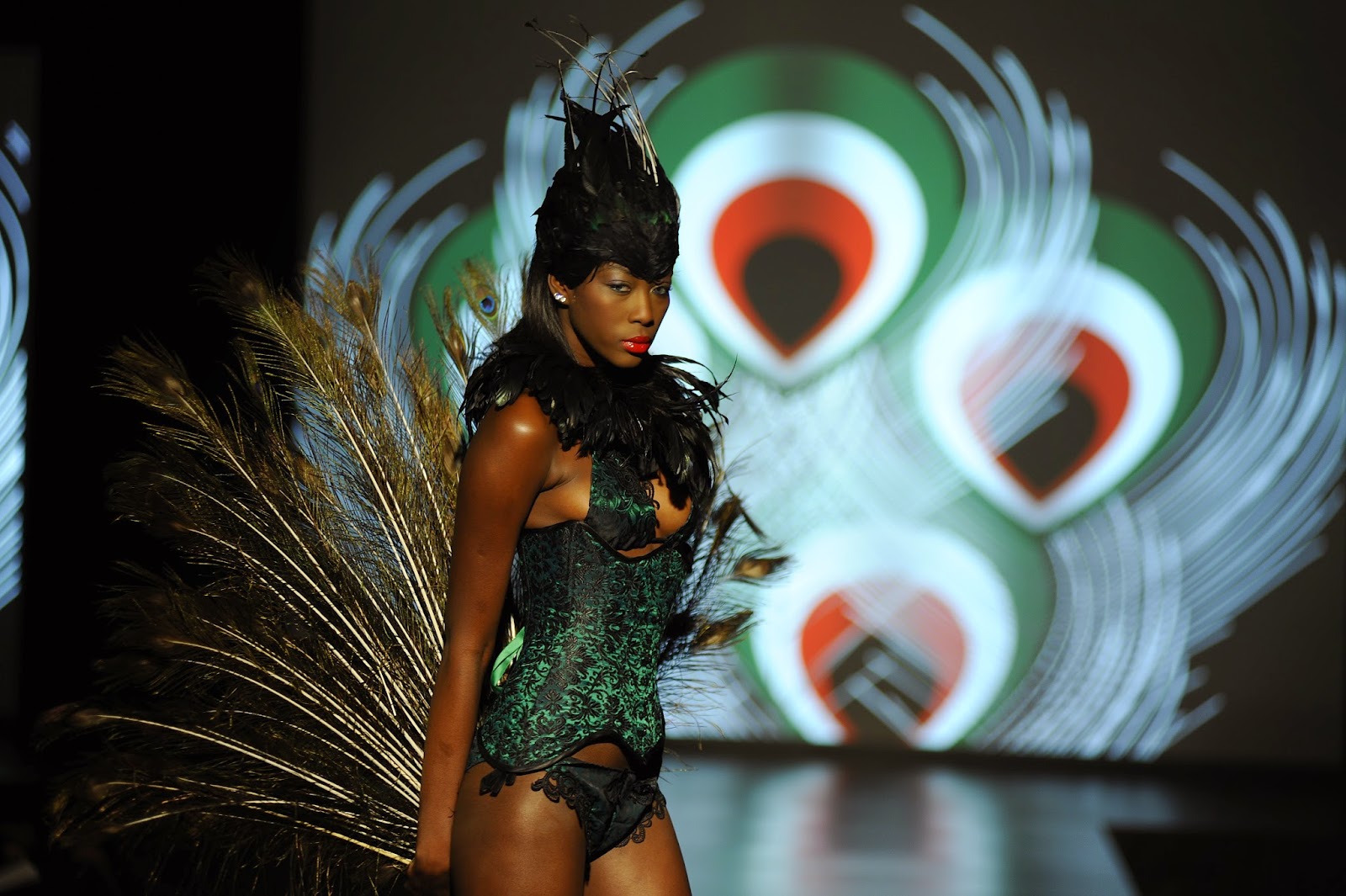 http://www.elevent.it/p/immagine-italia-2011-fashion-shows.html