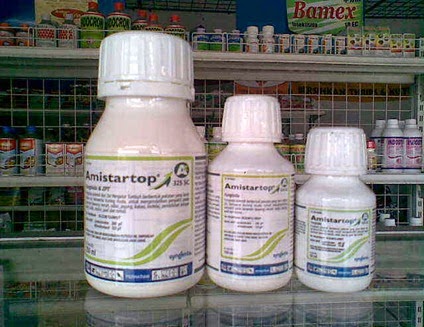 fungisida-amistartop-dary-sygenta