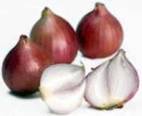 Benefits Shallots or scallions  