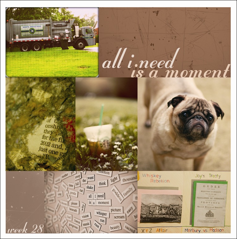 Week 28 flickr group mosaic b copy
