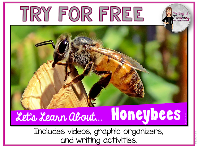 Let's learn about honeybees!