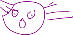 MsgPlus_Img5978