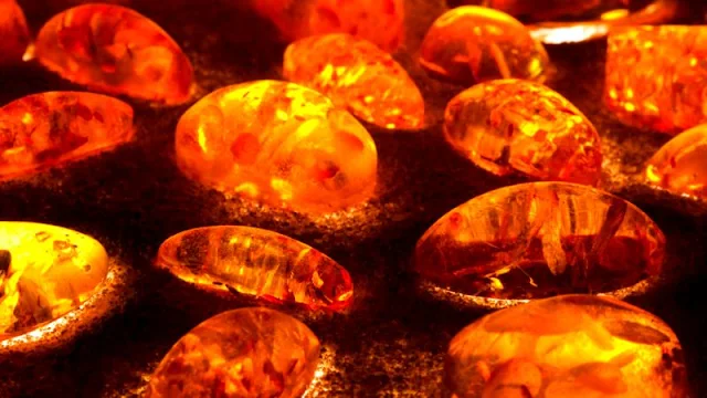 Fossil Amber Shatters Theories of Glass